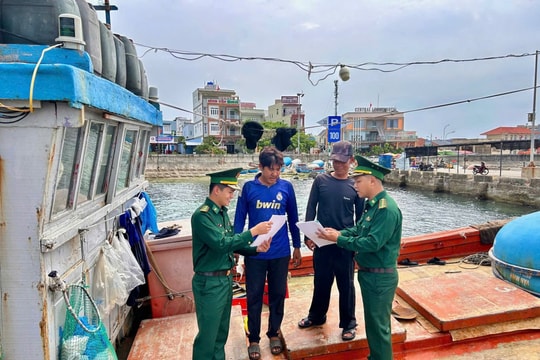 Tạm gác chuyến biển để kịp ngày hội toàn dân