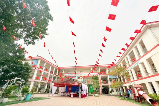 Trường học rợp cờ đỏ sao vàng hướng về ngày hội non sông