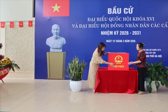 Cử tri phường Tây Tựu kỳ vọng phát triển vùng trồng hoa