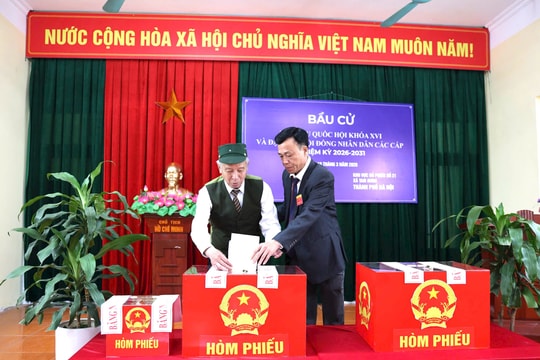 Cử tri Tam Hưng hân hoan đi bầu cử
