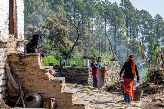 Khi du lịch cứu những ngôi làng đang dần biến mất ở Himalaya