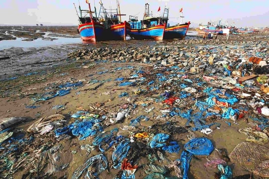 Ba giải pháp kiểm soát ô nhiễm nhựa gắn với bảo tồn đa dạng sinh học