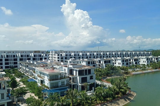 Thị trường căn hộ condotel phân hóa mạnh về nguồn cung và giá bán