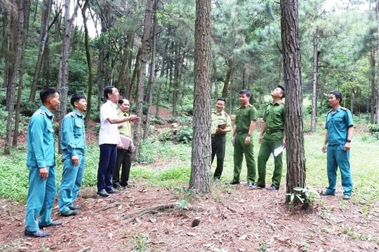 Ông Bùi Duy Cường làm Chủ tịch Hội đồng quản lý Quỹ Bảo vệ và Phát triển rừng Hà Nội