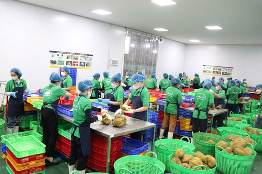 Bộ trưởng Bộ Nông nghiệp và Môi trường Trần Đức Thắng kêu gọi doanh nghiệp, hiệp hội chia sẻ khó khăn với người sản xuất