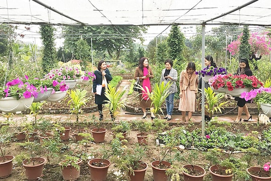 Điểm hẹn xanh ven đô