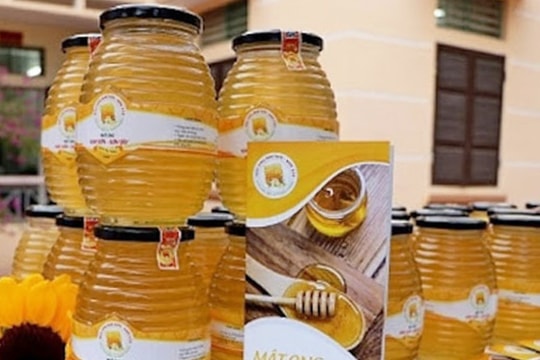 Mật ong Kim Sơn - tinh túy xứ Đoài