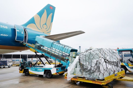 Chuyển đổi xanh: Hướng đi bền vững cho hàng không và logistics