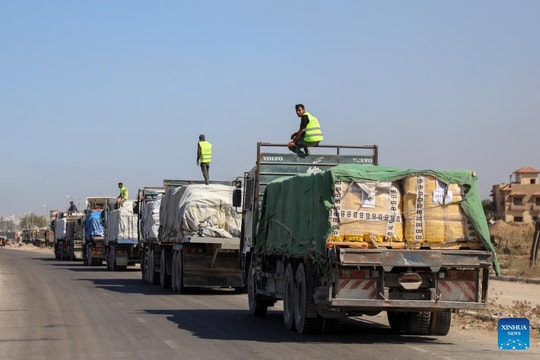 Viện trợ nhân đạo cho Gaza giảm 80%