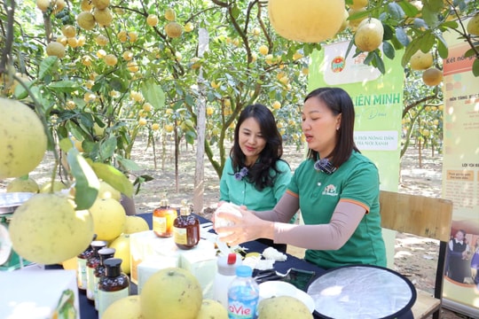 Tư duy mới trên đồng ruộng Thủ đô