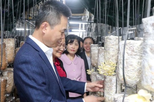 Xã Phú Xuyên: Khơi dậy sức dân từ tinh thần phát huy dân chủ và lắng nghe nhân dân nói
