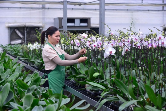 Hà Nội: Khơi thông nguồn lực đất đai, mở rộng dư địa tăng trưởng