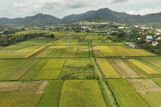 Khơi thông nguồn lực đất đai: Từ tư duy “khai thác” sang “kiến tạo giá trị” cho Thủ đô