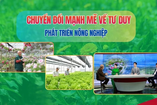 Chuyển đổi mạnh mẽ về tư duy phát triển nông nghiệp để “đánh thức” giá trị đất đai
