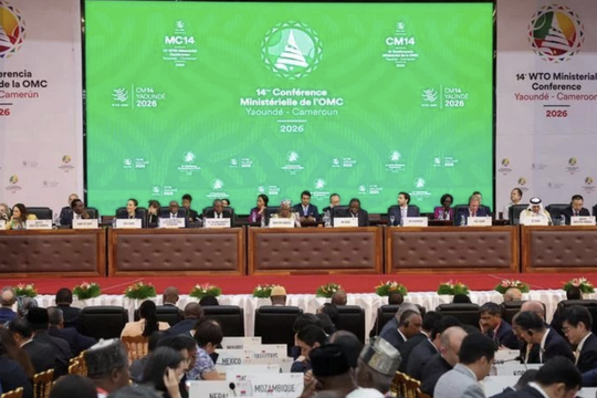 Các nước thúc đẩy thỏa thuận thương mại số ngoài WTO