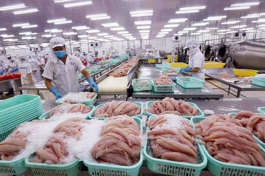 Ổn định sản xuất, chủ động thích ứng