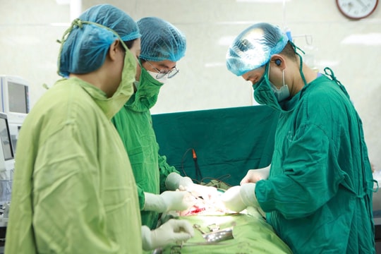 Cứu sống thai nhi rối loạn nhịp tim nguy kịch nhờ điều trị từ trong bụng mẹ