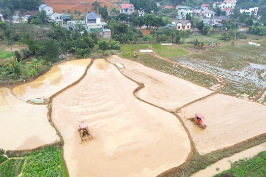 Yên Xuân chú trọng đưa tiến bộ khoa học kỹ thuật vào sản xuất nông nghiệp