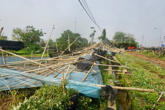 Hà Nội ghi nhận nhiều thiệt hại do mưa dông