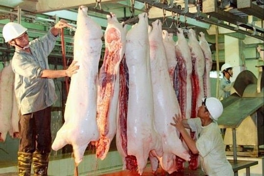 Chương Mỹ: Chấm dứt hoạt động giết mổ gia súc, gia cầm không đủ điều kiện trước 30-6