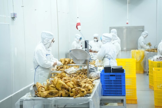 Bộ Y tế chỉ đạo khẩn, yêu cầu tăng cường kiểm tra đột xuất, ngăn chặn “thực phẩm bẩn” len lỏi vào học đường