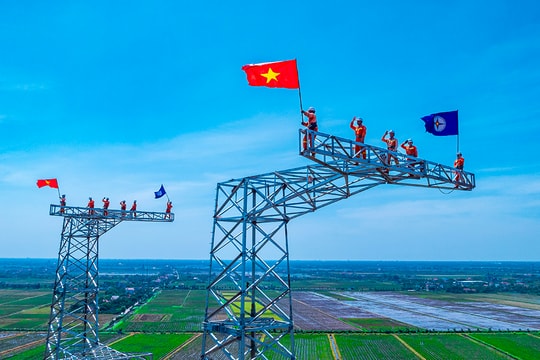Điện khí hóa - Chìa khóa chiến lược cho an ninh năng lượng và Net Zero