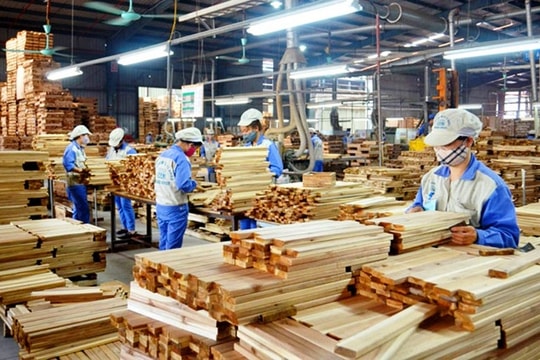 Xuất khẩu gỗ sang EU: Khó khăn trước “bài kiểm tra” quy định chống mất rừng