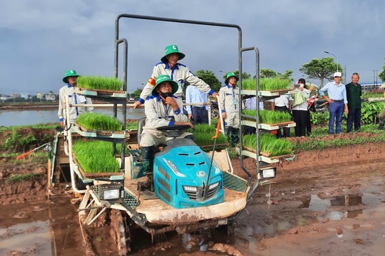 Người nông dân có nhiều cống hiến cho phong trào cơ giới hóa đồng ruộng ở Thường Tín