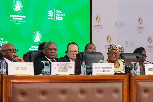 Đàm phán cải cách WTO đứng trước nguy cơ bế tắc kéo dài