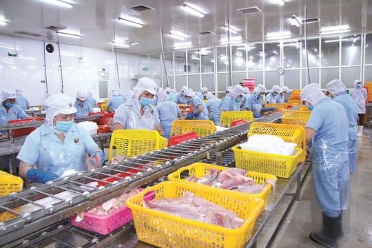 Xuất khẩu thuỷ sản: Đa dạng thị trường để giảm thiểu rủi ro