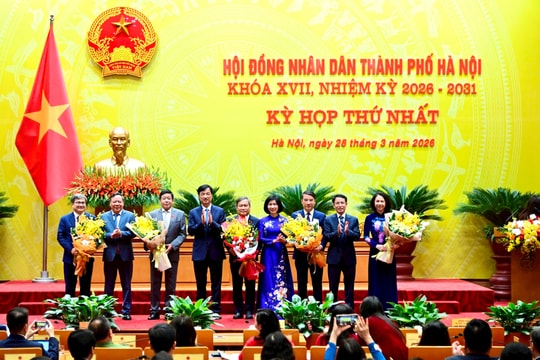 Thủ tướng phê chuẩn kết quả bầu Chủ tịch, Phó Chủ tịch UBND cấp tỉnh nhiệm kỳ 2026-2031