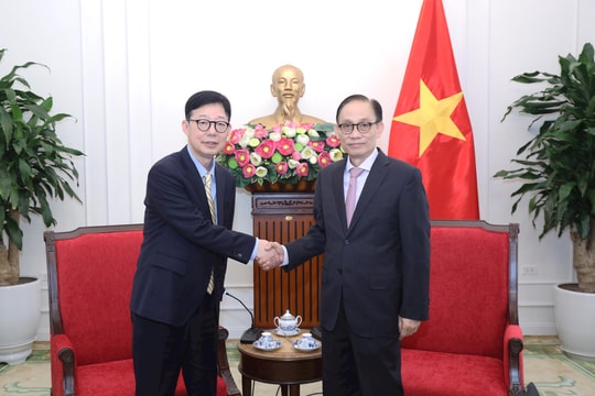 Việt Nam đề nghị doanh nghiệp Hàn Quốc mở rộng đầu tư vào các lĩnh vực ưu tiên