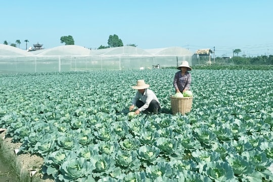 Đánh thức tiềm năng du lịch ven đô từ Kim Lan – Văn Đức