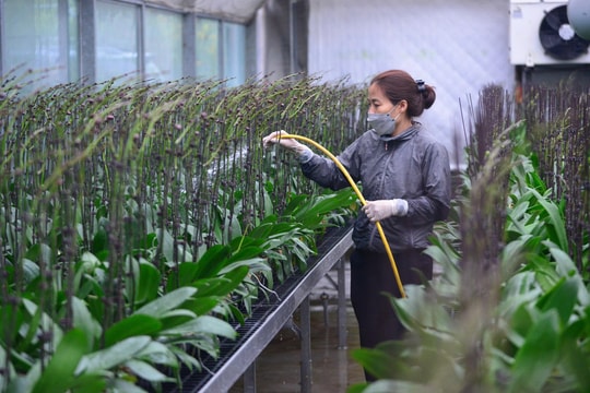 Nông nghiệp đô thị Hà Nội cần thay đổi tư duy để mở đường tăng trưởng