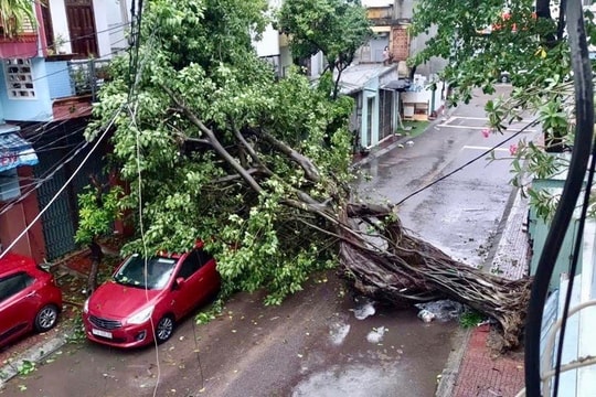 Ứng phó thiên tai cực đoan thời kỳ giao mùa