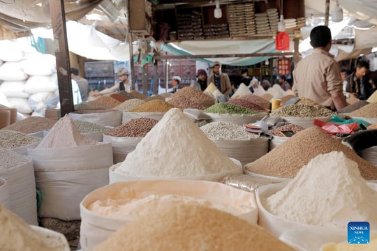 FAO cảnh báo rủi ro gia tăng đối với an ninh lương thực toàn cầu