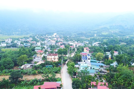 Hà Nội: Từng bước hiện thực hoá mục tiêu “rừng trong phố, phố trong rừng”