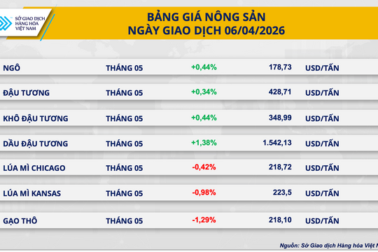 Thị trường đậu tương ghi nhận sắc xanh tích cực