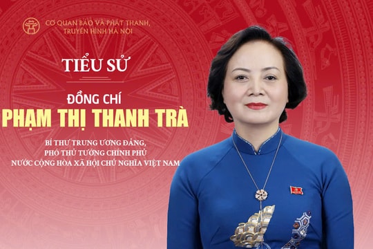 Tóm tắt tiểu sử Phó Thủ tướng Chính phủ Phạm Thị Thanh Trà