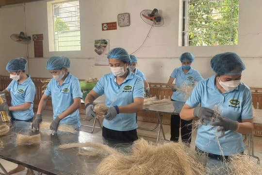 Tự hào nông sản Việt 2026: Hội tụ tinh hoa nông sản ba miền tại Hà Nội