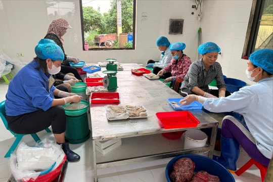 Hòa Xá: Từ “hạt nhân” mô hình đến bài toán phát triển nông nghiệp hàng hóa bền vững