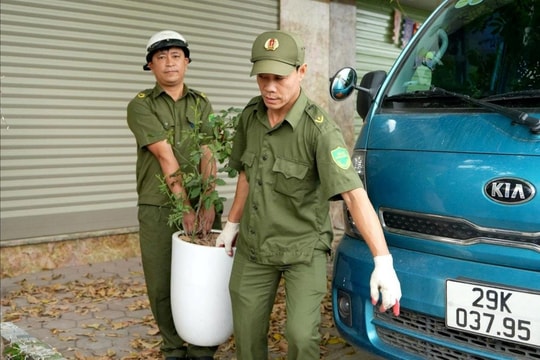 Xã Hoài Đức ra quân xử lý “điểm nghẽn” trật tự đô thị ở một số trục đường chính
