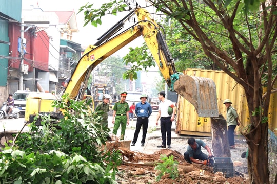 Xã Tam Hưng: Mạnh tay xử lý vi phạm trật tự đô thị, không để tái diễn