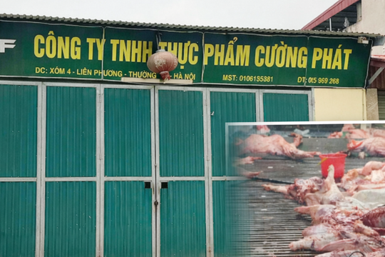 Bịt kín kẽ hở để chặn thực phẩm bẩn vào trường học