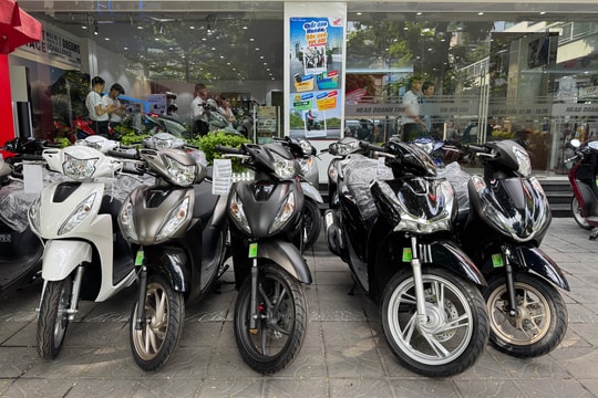 Tiêu thụ xe máy xăng vẫn ổn định nhưng sẽ đối mặt nhiều sóng gió
