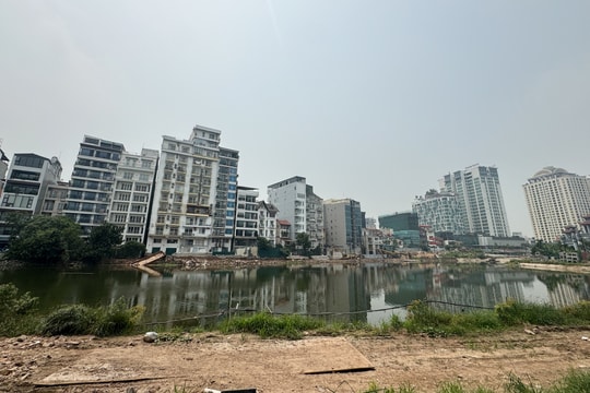 Tây Hồ nỗ lực cải tạo hồ Tứ Liên trong năm nay