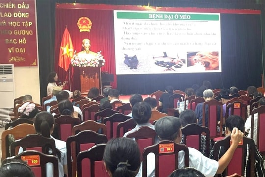 Chi cục Chăn nuôi, Thủy sản và Thú y Hà Nội: Tập huấn phòng chống bệnh dại ở động vật tại 16 xã