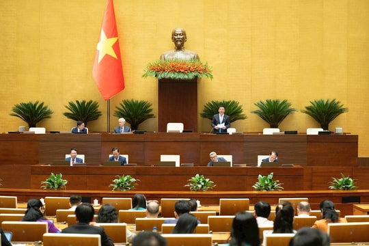 Mức hỗ trợ đối với thành viên cơ quan đại diện, thân nhân còn thấp so với nhiều nước