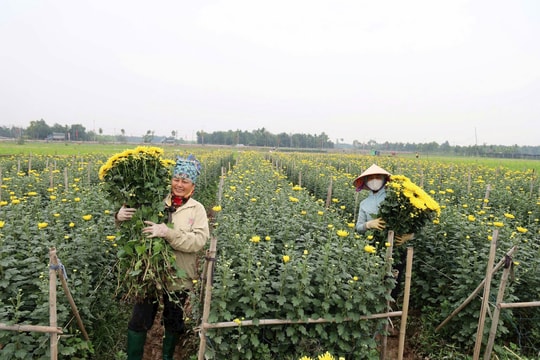 Góp trí tuệ xây dựng Đề án phát triển kinh tế - xã hội xã Hát Môn
