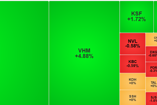 Cổ phiếu trụ cột hồi phục, VN-Index tăng gần 17 điểm